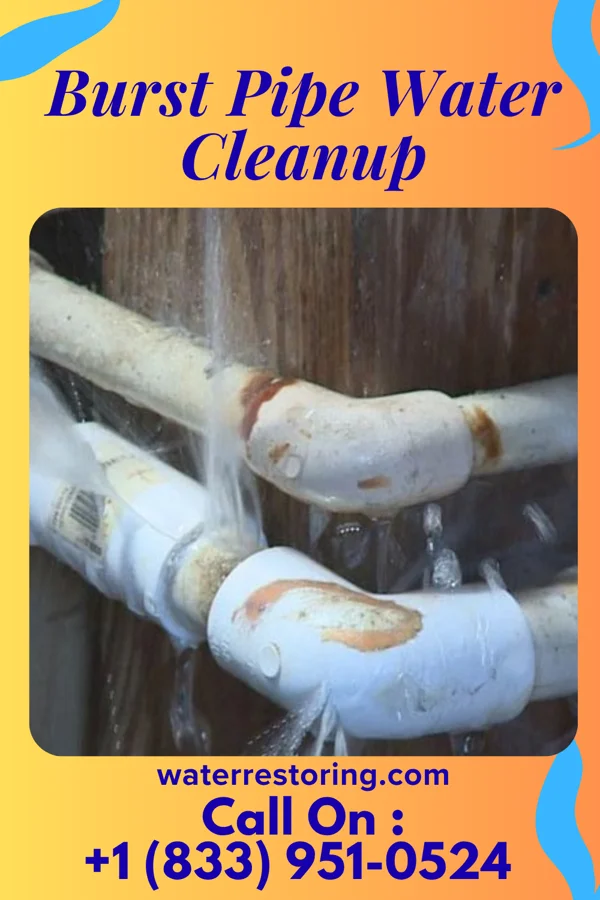 Burst Pipe Water Cleanup in Upper Stewartsville, NJ