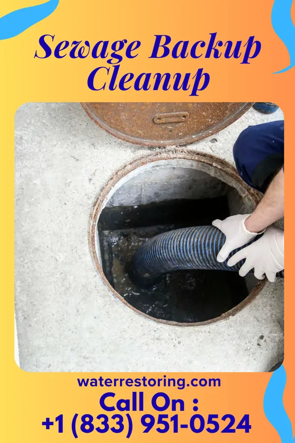 Sewage Backup Cleanup in Upper Stewartsville, NJ