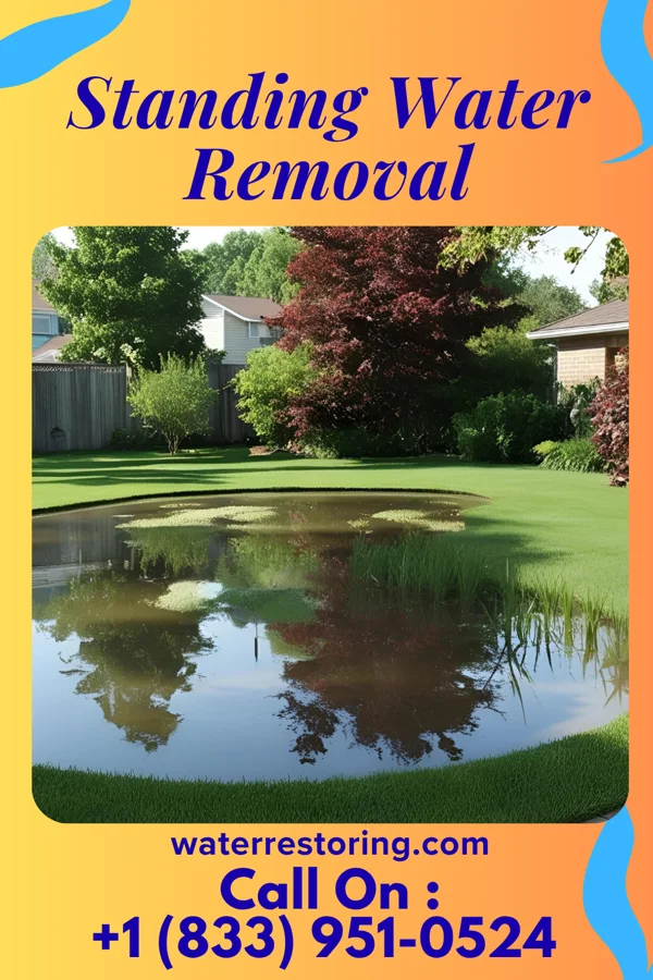 Standing Water Removal in Upper Stewartsville, NJ